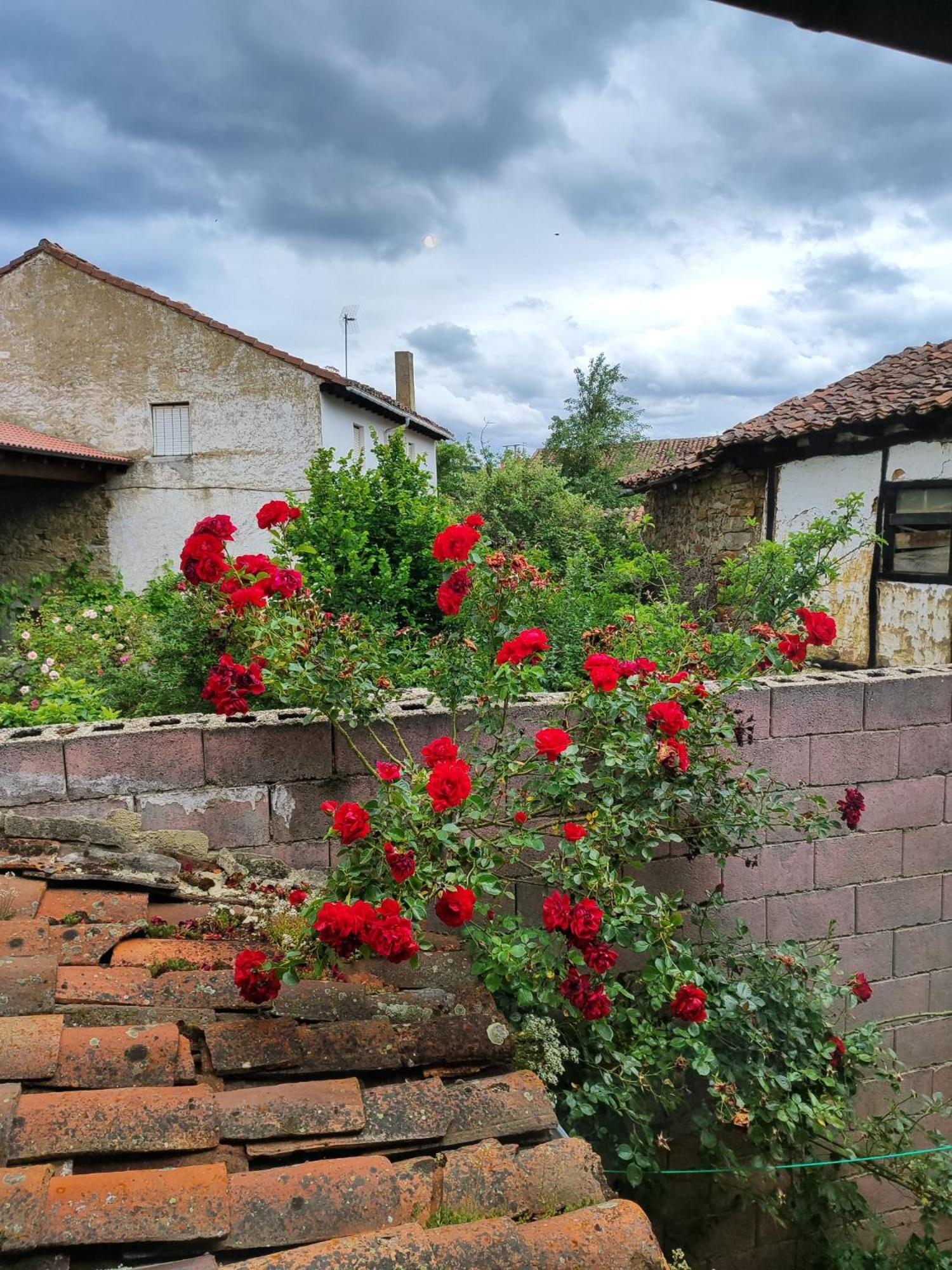 בית הארחה סרוורה דל פיסוארגה 	Casa Simon מראה חיצוני תמונה